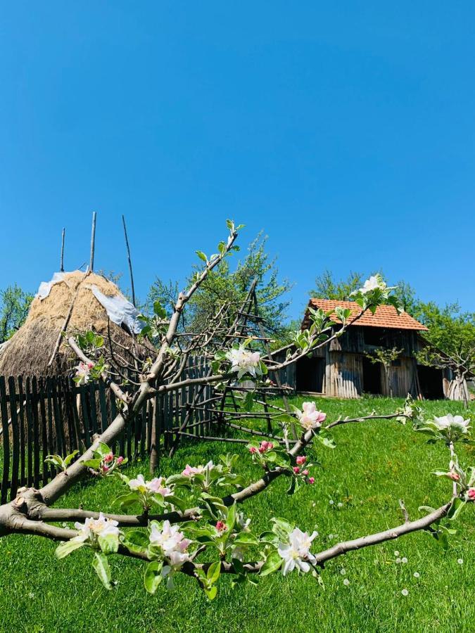 The Story Garden Corbi Exterior foto